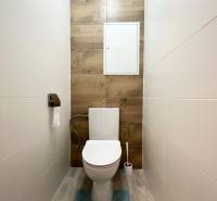 A bathroom with wooden paneling, beige walls, a turquoise rug in a studio apartment.