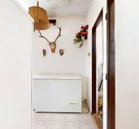 The family house contains a white freezer, a trophy with antlers, flowers, and a wicker lamp.