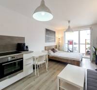 A one-bedroom apartment with a kitchen, living room, bed, and work nook, light and plants.