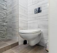 A toilet with ceramic tiles, next to it a shower corner. In the background, a living room can be seen.