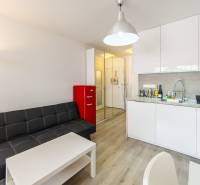 Living area of a studio apartment with a gray sofa and a kitchenette.