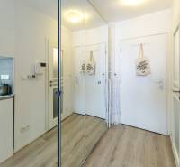Interior of a 1-room apartment with a hallway, wardrobe with mirrored doors, and light flooring.