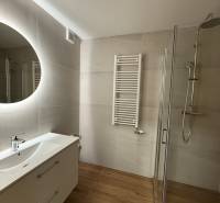 Bathroom in a 2-room apartment with a sink, mirror, and shower on a wooden floor.
