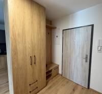 Hallway with wooden cabinets and doors in a 2-room apartment.
