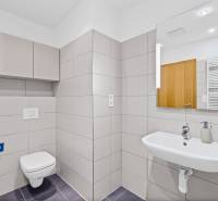 A bathroom with a wall-hung toilet and sink in a 3-room apartment.