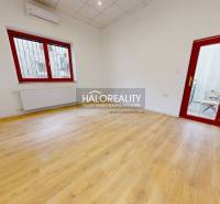 A room with a light wooden floor surface and red window frames in the offices.