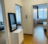 A hallway in a 2-room apartment with a view of the living room and bedroom.
