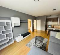 Living room in a two-room apartment with a sofa, dining table, and kitchenette.