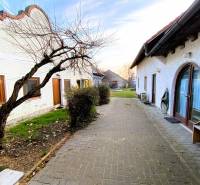 A courtyard with a walkway and a tree during the construction of apartments on Breitegasse in Illmitz.