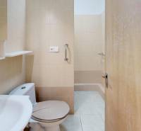 Bathroom with toilet, sink, and shower in a studio apartment.