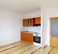 Kitchen unit and doors in a studio apartment with wooden flooring.