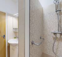 Shower corner and sink in the bathroom of a studio apartment with wooden doors.