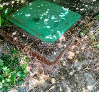 Sewerage in the garden of a family house in Váhovce, surrounded by plants and grass.