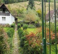 The garden at the cottage on Ružín Street in Malá Lodina with maintained vegetation.