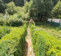 A garden near a cottage in Malá Lodina by the Ružín with a path and rich vegetation.