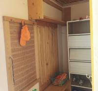 The interior of the cabin with wooden paneling and simple storage space.