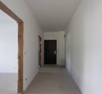 A hallway under construction in a 2-room apartment with white walls and black doors.
