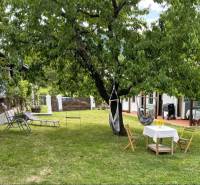 The garden of a family house in Pányok with a large tree, rocking chairs, and tables.