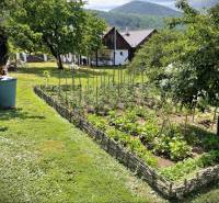 The garden of a family house in Pányok with cultivated plants, lawn, and trees.