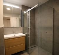 Bathroom with a shower and a sink with a wooden cabinet in a 2-room apartment.