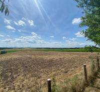 A field behind a family house in Bad Deutsch-Altenburg, blue sky and grass.
