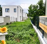 New apartments on Untere Hauptstraße in Potzneusiedl surrounded by greenery with colorful sunflowers.