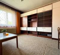 Living room in a family house with retro furniture, a carpet, and a large window.