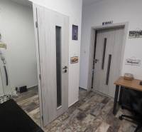 A hallway with light-colored doors, a writing desk, and decorations in a studio apartment.