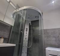 A bathroom in a studio apartment with a massage shower cabin and a washing machine.