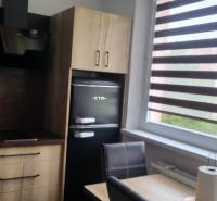 A kitchen in a studio apartment with a cooktop, coffee maker, and refrigerator.