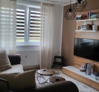 Living room in a studio apartment with a comfortable sofa, television, and wooden furniture.