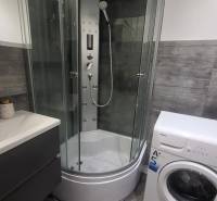 Bathroom with a sink, shower, and washing machine in a studio apartment.