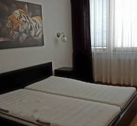 A bedroom in a two-room apartment with a picture of a tiger and a large window with curtains.