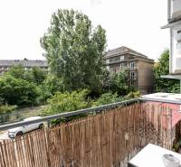 A balcony with greenery and a view of older buildings, 2-room apartment.