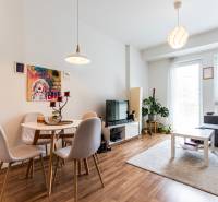 Living room in a two-room apartment with a dining area and a sofa.