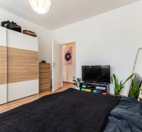Interior of a 2-room apartment with a double bed, wardrobe, television, and plants.