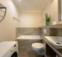 A bathroom in a 2-room apartment with a shower bathtub, washing machine, and indoor plant.