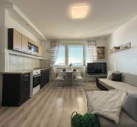 Living room with a kitchenette, sofa, and table in a 2-room apartment.