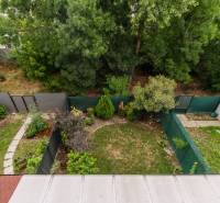 The garden at the house on Agátová Street in Rovinka with various plants.