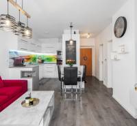 Interior of a 2-room apartment with an open kitchen, red sofa, and modern furniture.
