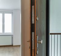 Security door and lights in a 3-room apartment with a radiator and a window.