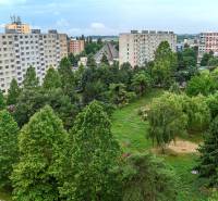 Greenery and apartment buildings on Jenisejská in Košice, Nad jazerom district.