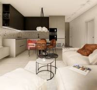 Living room in a 3-room apartment with a kitchenette, comfortable seating, and coffee tables.