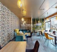 Interior of gastro spaces with colorful wallpaper, comfortable chairs, and modern lighting.
