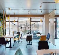 Interior of gastro spaces with swings, colorful chairs, and a green wall.