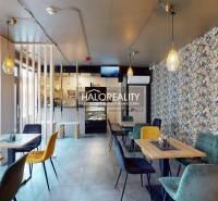 Cozy dining spaces with floral wallpaper and colorful furniture for a pleasant seating experience.