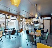 Interior gastro spaces with stylish seating sets, decorative lighting, and patterned wallpaper.