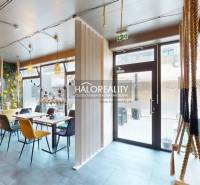 Interior of a gastro space with tables, chairs, swings, and a green wall.