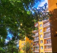 A yellow apartment building among trees in Trenčín in the Juh area offers a 3-room apartment.