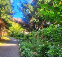 A sidewalk surrounded by greenery in the housing estate in Trenčín, part Juh, next to a 3-room apartment.